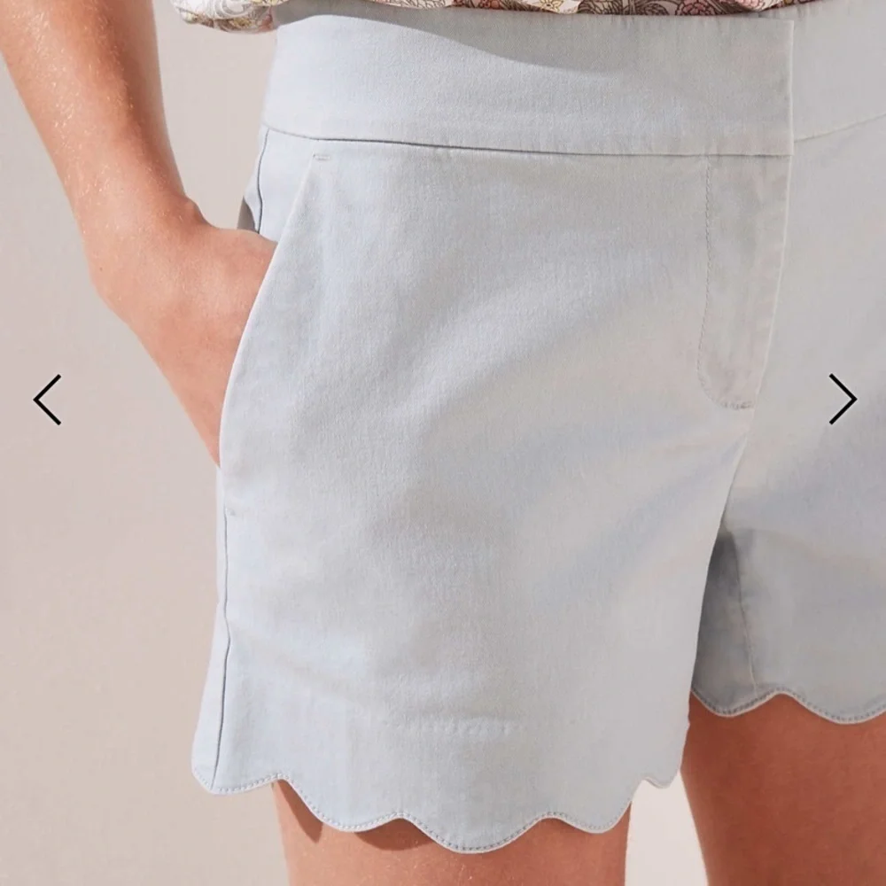 Ann Taylor Signature Coral Scalloped Dotted Shorts